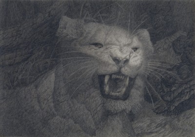 lioness roars in her lair post.jpg